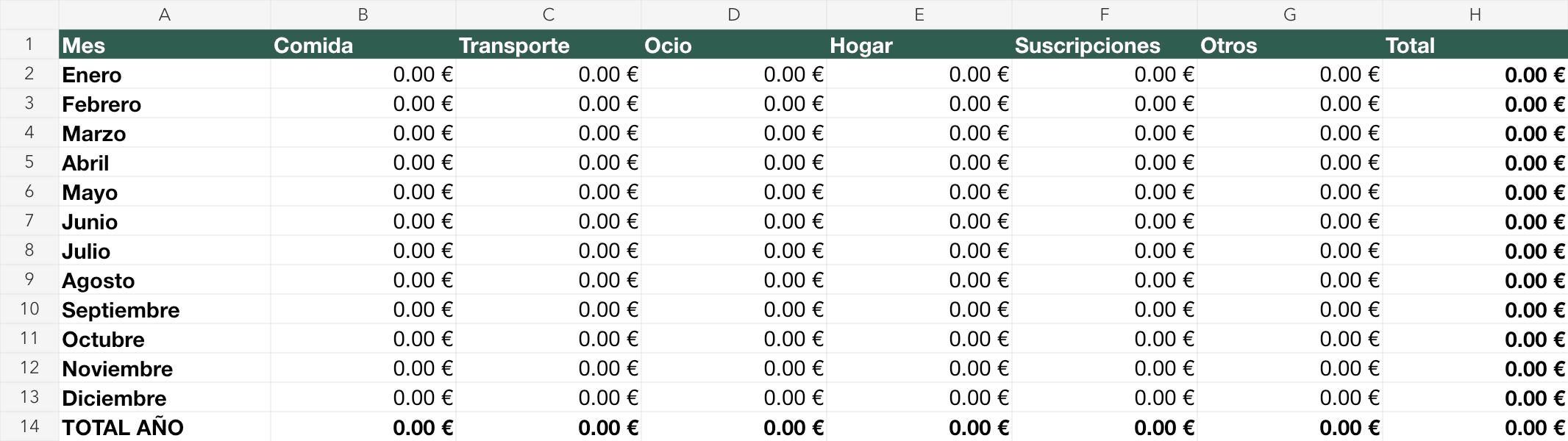 Hoja Resumen año: doce meses, seis categorías y total anual, con resultados a cero